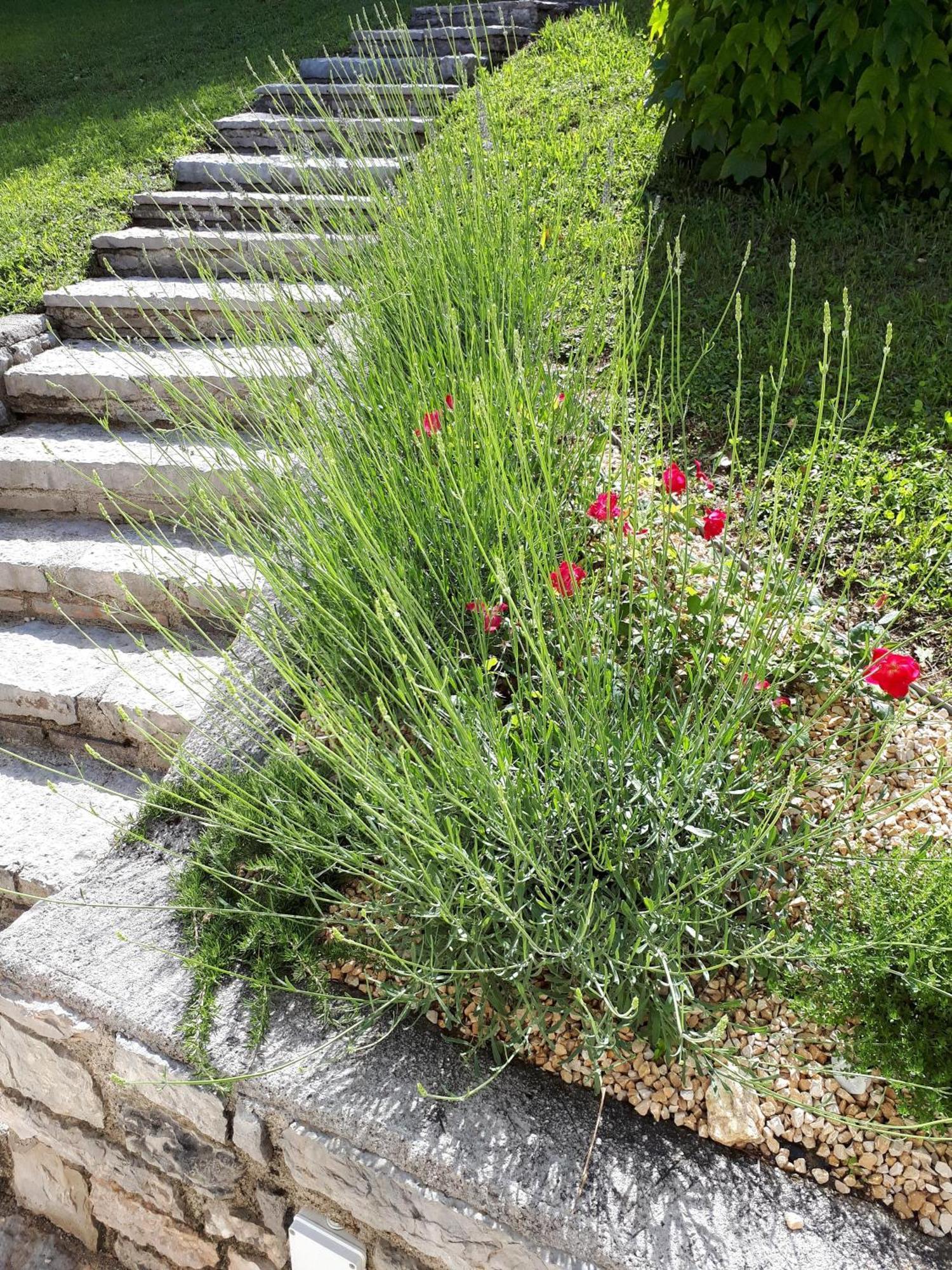 Ferienhaus In Tremosine Sul Garda Pieve  Exterior photo